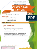 Rizhobium y Agrobacterium