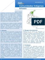 Comunidades_indigenas_en_Colombia_-_ACNUR_2011.pdf