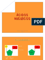 8-acidos-nucleicos.pdf