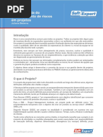 A Importancia Do Gerenciamento de Riscos Em Projetos