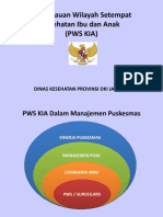 PWS KIA Paparan