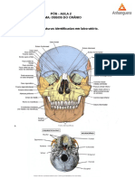 Pós-aula 2 (ossos do crânio e face) PDF.pdf