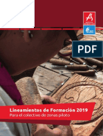 Lineamientos Colectivo de Zonas Piloto 2019