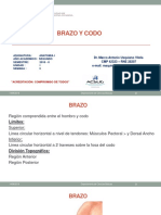 BRAZO Y CODO.pptx