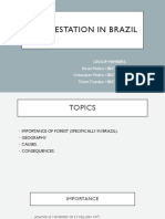 Deforestatiion in Brazil