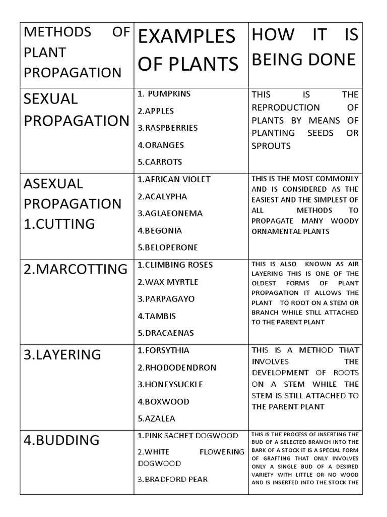 Plant Propagation Methods Explained | PDF | Grafting | Trees