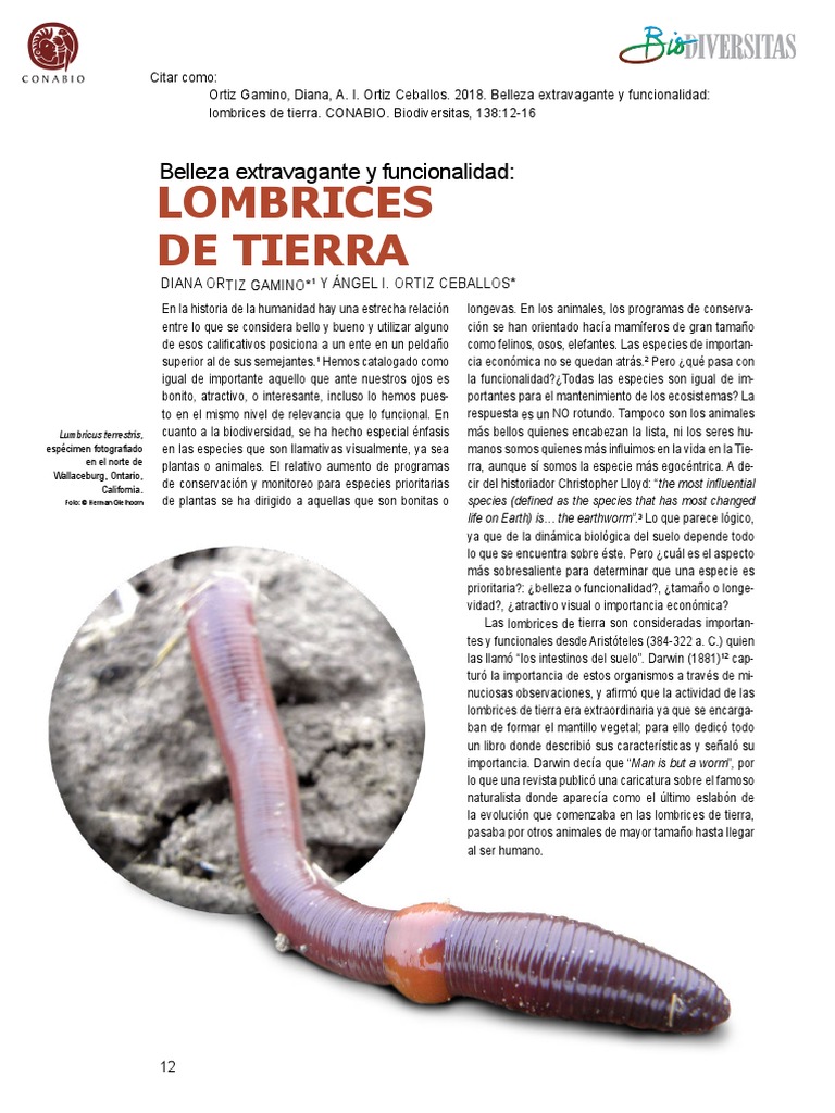 Lombriz | PDF | Suelo | Organismos, image size:768x1024