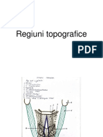 Regiuni Topografice