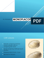 Monoplacophora o