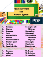 Endocrine System and Nervous System