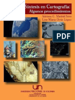 Analisis y Sintesis en Cartogra - Adriana G. Madrid Soto.pdf