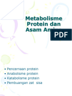 Metabolisme Protein.pptx