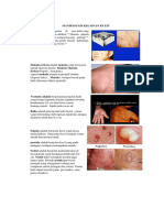 Mp1.p1. C. Manifestasi Kelainan Kulit. Mhs