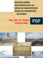 Observaciones Manifiesto Ambiental PDF