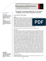 Assessment of system productivity of rice-maize cropping system under irrigated ecosystem 