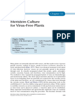 Chapter 11 - Meristem Culture For Virus Free Plants - 2013 - Plant Tissue Cultur PDF
