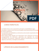 Lípidos PDF