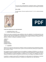 LA PIEL Y SUS CELULAS.pdf