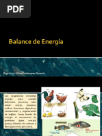 Tilapia | PDF | Acuicultura | Unión Europea