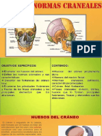 Normas Craneales