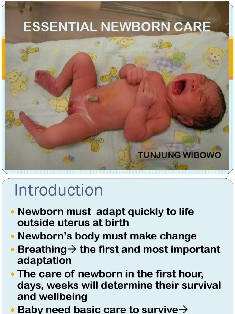 Essential Newborn Care Guidelines | PDF | Childbirth | Breastfeeding