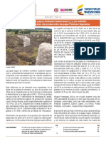 Bol_Insumos_ene_2017.pdf