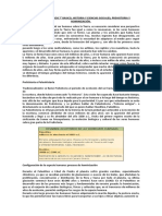 Guia Contenidos 7 Prehistoria