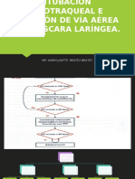 Intubación Endotraqueal e Inserción de Vía Aérea Con