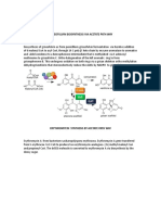 Griseofulvin, Erythromycin & Tetracycline Biosynthesis via Acetate