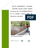 CRECIMIENTO Y ENGORDA DE MOJARRA.pdf