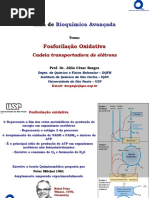 Aula21BioqAvan_FosforilaçãoOxidativa_CTE.pdf
