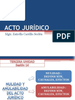 Nulidad y Anulabilidad Del Acto Juridico