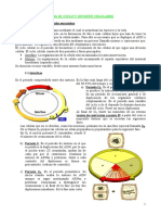 1. Ciclo_y_división_celulares.pdf