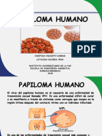 Papiloma Humano