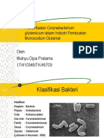 Pemanfaatan Corynebacterium Glutamicium Dalam Industri Pembuatan Monosodium Glutamat