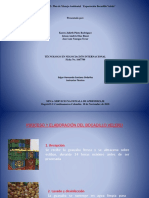 EVIDENCIA 2 Plan de Manejo Ambiental Exportación Bocadillo Veleño 2