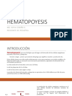 Hematopoyesis: Proceso de Formación de Células Sanguíneas