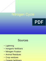 Nitrogen Cycle