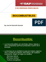 Biocombustibles PDF