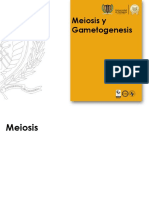 Clase Meiosis y Gametogénesis