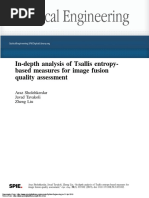 In-Depth Analysis of Tsallis Entropy-Based Measures For Image Fusion Quality Assessment