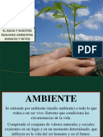 Agua y Ambiental Retos Avances PDF