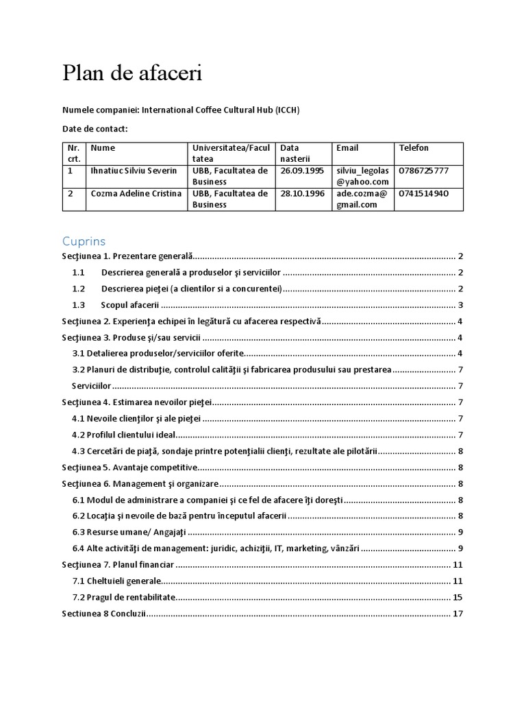 Plan De Afaceri Pdf