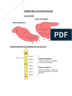 Posicion Es Del A Flauta