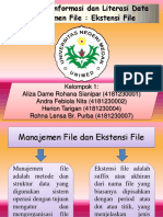 Kelompok 1 Ekstensi File