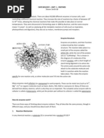 Download Cape Biology - Unit 1 - Enzymes by Steven IStudy Smith SN40699992 doc pdf