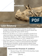 Rhino Rhinoceros Head Shot PowerPoint Templates Widescreen