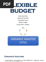 Group 5 - Flexible Budget