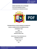 Piérola_Vera_Demetrio proyecto de investigacion.pdf