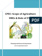 Cpec: Scope of Agriculture Smes & Role of ZTBL: Planning and Research Department